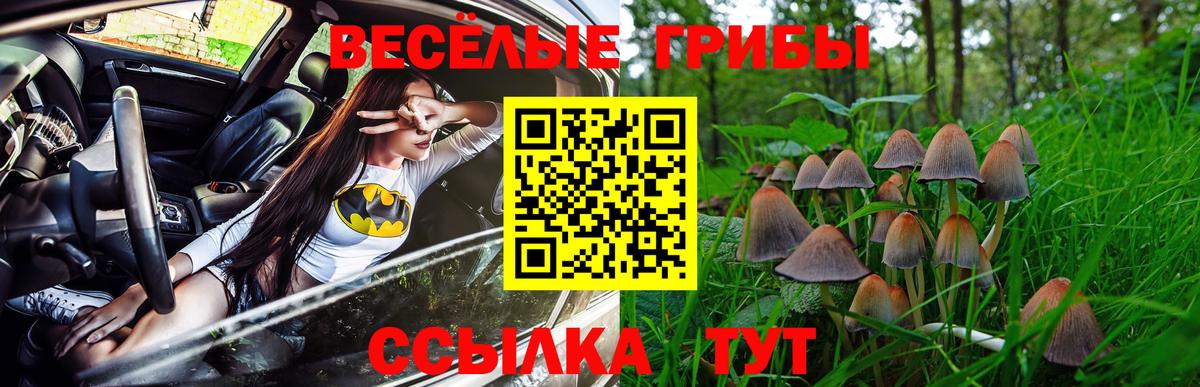 Галлюциногенные грибы Psilocybine cubensis Люберцы