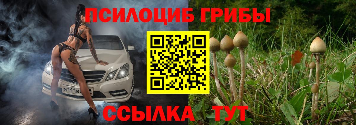 Псилоцибиновые грибы мухоморы  Вход с VPN  Псилоцибиновые грибы Psilocybine cubensis  Люберцы 